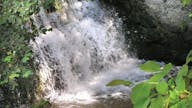 Fram Stream